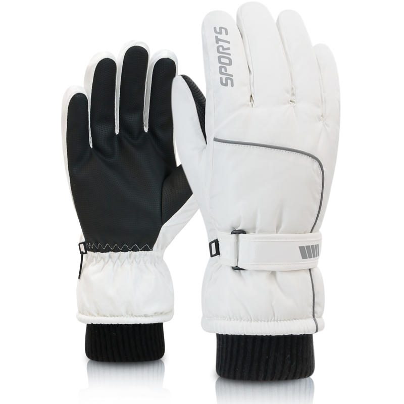 Men's AND WOMEN'S Professional - Ski Glove Waterproof 评论和价格
